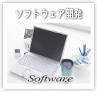 ソフトウェア開発